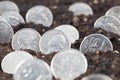 American dollars in the soil of an agricultural field