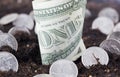 American dollars in the soil of an agricultural field