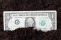 American dollars in the soil of an agricultural field