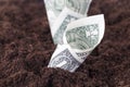 American dollars in the soil of an agricultural field