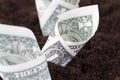 American dollars in the soil of an agricultural field