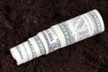 American dollars in the soil of an agricultural field Royalty Free Stock Photo