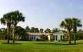 American Dream Home with palm trees and blue doors Royalty Free Stock Photo