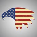 American eagle flag. American flag eagle shaped. Royalty Free Stock Photo