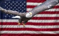 American Eagle with Flag