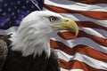 American Eagle with Flag Royalty Free Stock Photo