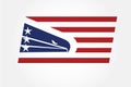 American eagle flag USA logo Royalty Free Stock Photo