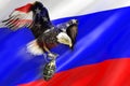 An American eagle flies with a grenade against the background of the Russian flag. Stop the war between Russia and Ukraine. Royalty Free Stock Photo