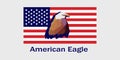 American eagle, force, peace symbol of Unites States of America, American flag illustration, patriotic, national day, isolated Royalty Free Stock Photo