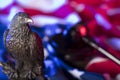 American eagle. Independence Day theme. Royalty Free Stock Photo