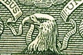 American eagle with one dollar bill at maximum magnification. 1 one Dollar USA,  eagle. Concept for success, business, dominance, Royalty Free Stock Photo