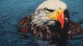 Bold Graphic Illustration Of Eagle In Water With Risograph Texture