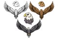 American eagle set. Bald eagle logo. Wild birds drawing. Head of an eagle.