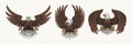 American eagle set logotype colorful