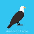 American eagle sitting flat icon, watching, vector illustration