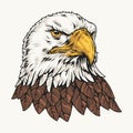 American eagle vintage element colorful Royalty Free Stock Photo