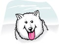 American eskimo cartoon