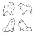 American Eskimo Dog Animal Vector Illustration Hand Drawn Cartoon Art