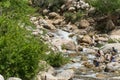 American family on vacation in the Rocky Mountains National Park, Colorado, USA