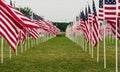 American Field of Flags on Memorial Day Royalty Free Stock Photo