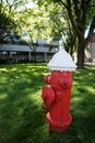 American Fire hydrant or Standpipe connection Royalty Free Stock Photo