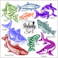 American Fish - vector set 5 for creative design, t-shirt, badge and logo. Isolated on black.