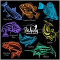 American Fish - vector set for creative design, t-shirt, badge and logo. Isolated on black.