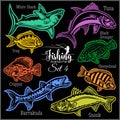 American Fish - vector set 5 for creative design, t-shirt, badge and logo. Isolated on black.