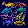 American Fish - vector set 4 for creative design, t-shirt, badge and logo. Isolated on blue.