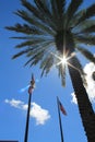 American flag against the light Royalty Free Stock Photo