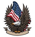 American Flag with Bald Eagle and Banner Color Isolated Vector Illustration Royalty Free Stock Photo