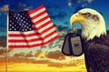 American flag and Bald Eagle holds a dog tags in his beak at sunset. Royalty Free Stock Photo