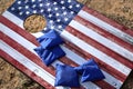 American Flag corn hole game with blue bean bags Royalty Free Stock Photo