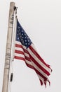 American Flag in disgraceful-condition,tattered,torn, Royalty Free Stock Photo