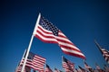 American Flag display for a national holiday Royalty Free Stock Photo