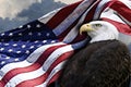 American flag and eagle Royalty Free Stock Photo