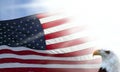 American Flag and Eagle Royalty Free Stock Photo