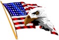 American Flag and Eagle Royalty Free Stock Photo