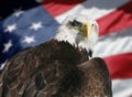 American flag and eagle Royalty Free Stock Photo