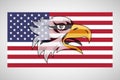 American flag with an eagle Royalty Free Stock Photo