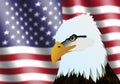 American Flag and Eagle Head Royalty Free Stock Photo