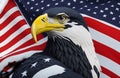 american flag and eagle symbol of american freedom, perched in front of an american flag celebrating Day 4th july Royalty Free Stock Photo