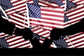 American flag and election vote silhouette composition. Describe the 2024 US election situation and results.