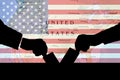 American flag and election vote silhouette composition. Describe the 2024 US election situation and results.