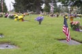 American flag and Flowers on veteran Graveside