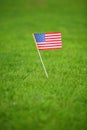 American flag on grass Royalty Free Stock Photo