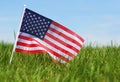 American Flag on Grass Royalty Free Stock Photo