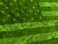 American flag grass Royalty Free Stock Photo