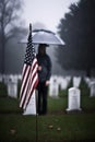 An American Flag on a Gravestone for Veteran\'s Day, Mourner with Umbrella