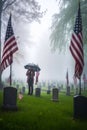 An American Flag on a Gravestone for Veteran\'s Day, Mourner with Umbrella